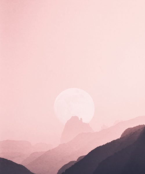 moon pink moon pink