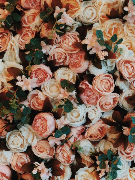 bouquet-of-roses-2791043 bouquet-of-roses-2791043